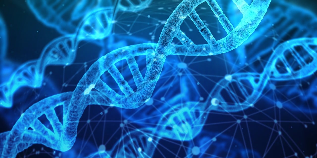 entdecken sie die neuesten trends und entwicklungen im bereich innovation. erfahren sie, wie innovative ideen und technologien unternehmen und gesellschaft nachhaltig verändern.