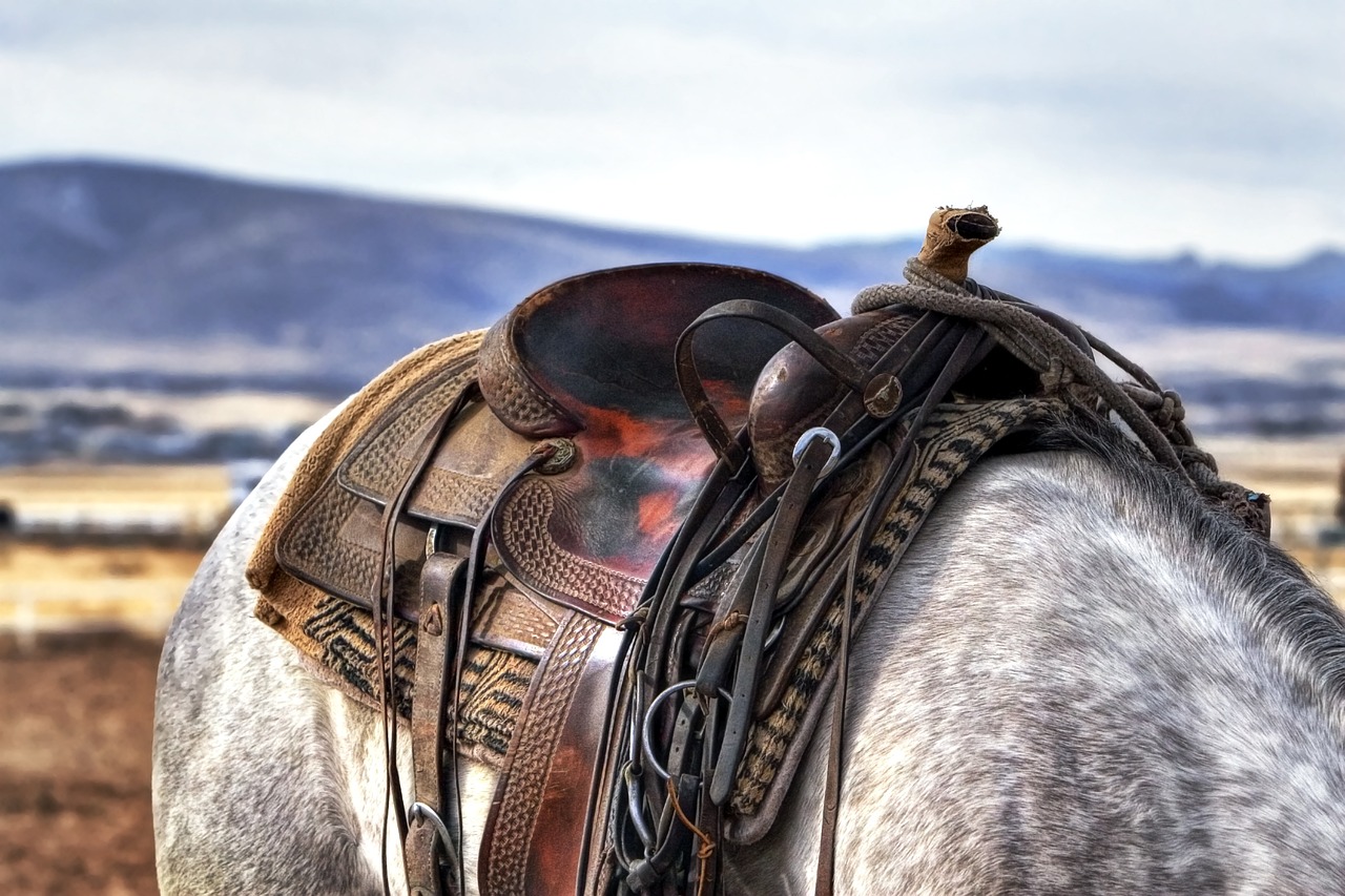 entdecken sie die wildwest-welt voller abenteuer, cowboys und beeindruckender landschaften. erleben sie die geschichte und die faszination der western-kultur durch filme, bücher und spiele.