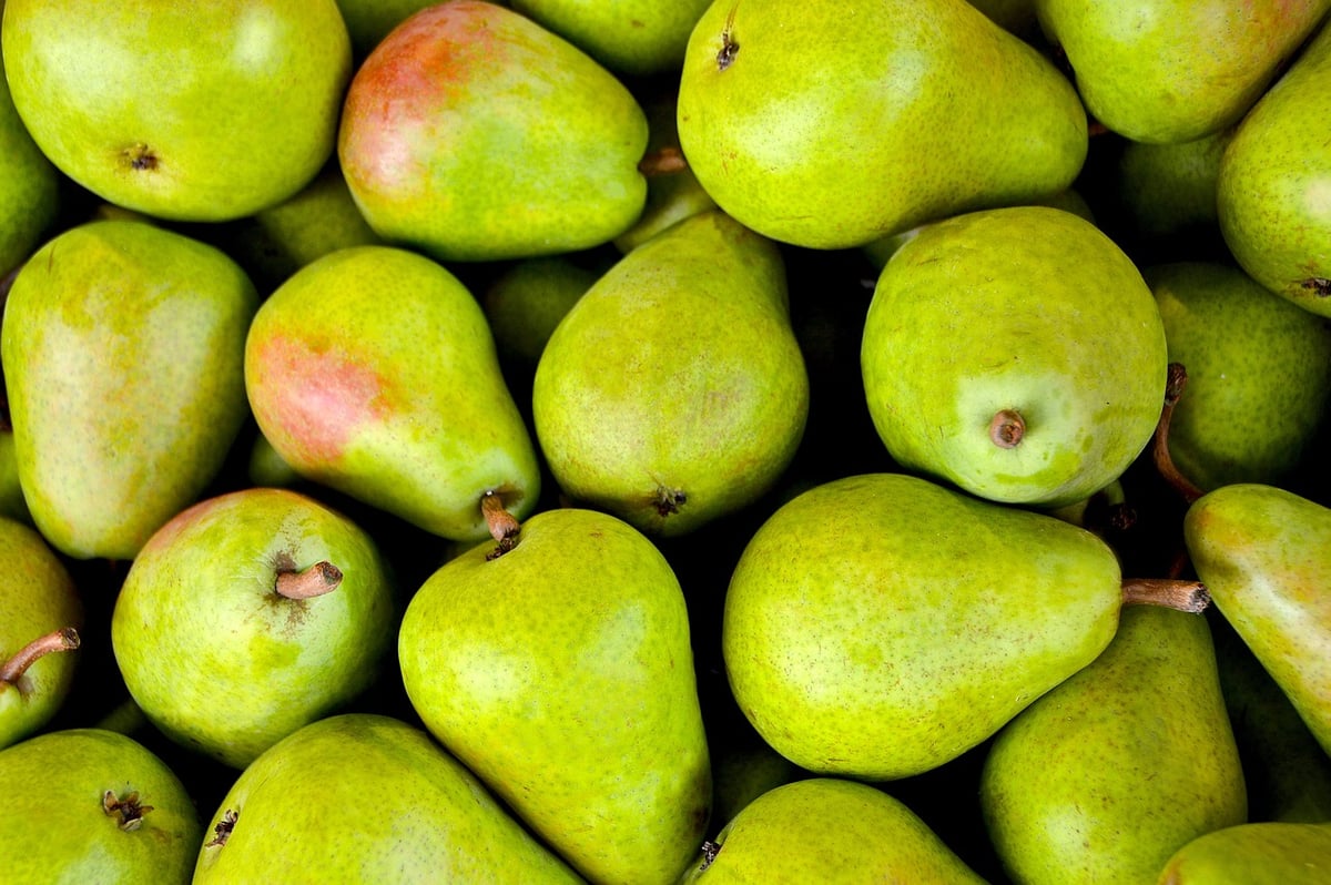 Gesunde Ernährung für Kinder: Tipps für eine ausgewogene und leckere Kost