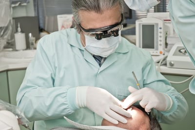 Tierpflege: Tipps für die optimale Versorgung Ihres Haustiers