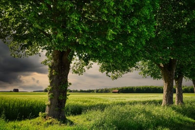 Landwirtschaft im Wandel: Innovationen und Herausforderungen für die Zukunft