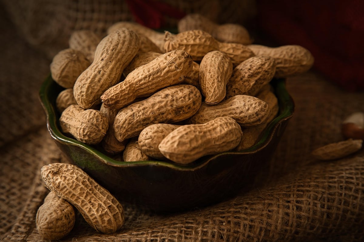 Snack-Ideen für jeden Anlass: kreative und gesunde Vorschläge