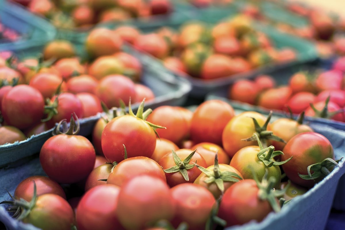 Diät: Tipps für eine gesunde Ernährung im Alltag